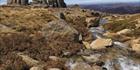 Granite Tor and Stream - Rams Head Range - NSW T V (PBH4 00 10809)